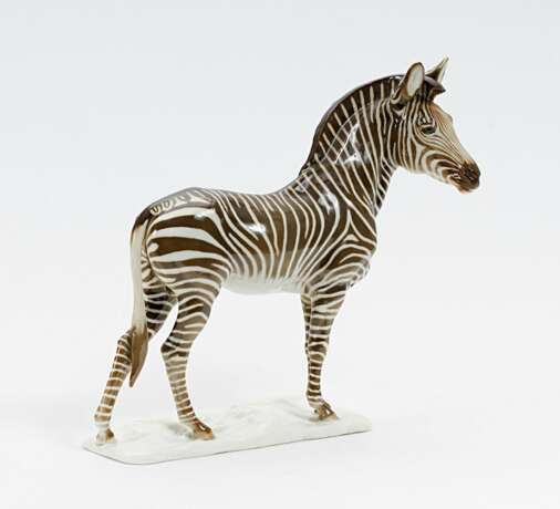 Zebra - photo 1