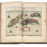 Atlas Noveau a l'usage de Monseigneur Le Duc de Bourgogne - Foto 7