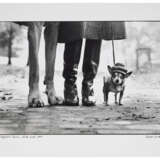 ELLIOTT ERWITT (NÉ EN 1928) - фото 2