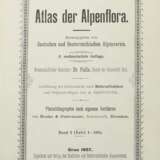 Atlas der Alpenflora herausgegeben vom Deutschen u… - фото 2