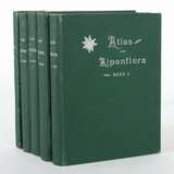 Atlas der Alpenflora herausgegeben vom Deutschen u… - фото 5