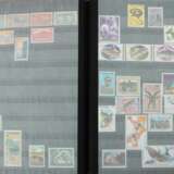 9 Briefmarkenalben gute Afrika-Sammlung; Deutsches… - Foto 6