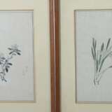 7 florale Holzschnitte Japan, 20. Jh., Papier, Dar… - фото 3