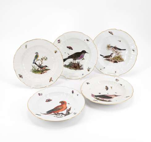 FIVE DEEP PLATES WITH DEPICTIONS OF BIRDS AND INSECTS - photo 1