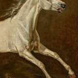 Otto Grashof. Study of a Galloping Grey Horse - photo 1