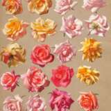 Leon Wyczólkowski. Five Pastels with Rose Petals - фото 5