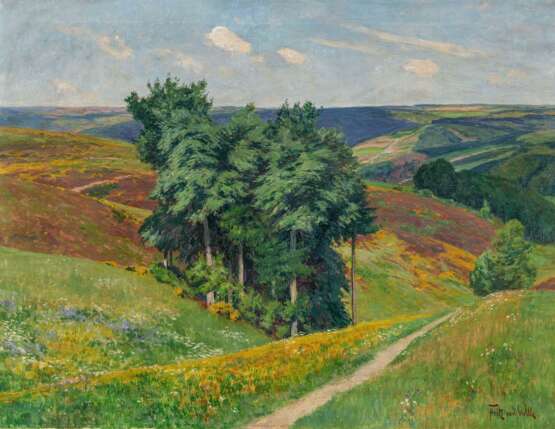 Fritz von Wille. Flowering Meadows in the Eifel - Foto 1
