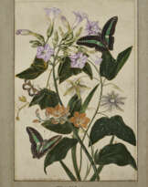 THOMAS ROBINS THE YOUNGER (BRITISH, 1748-1806)