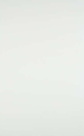 Frank Stella. Worksheet - photo 2
