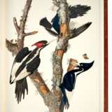 John James Audubon | The birds of America. Facsimile of the 1827–1838 edition. New York, 1985 - photo 3