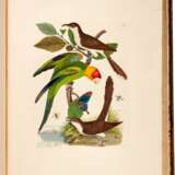 Captain Thomas Brown | Illustrations of the American ornithology. Edinburgh, [1831]-1835, the dedicatee’s large-paper copy with superior colour - Foto 2