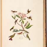 Captain Thomas Brown | Illustrations of the American ornithology. Edinburgh, [1831]-1835, the dedicatee’s large-paper copy with superior colour - Foto 4