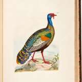 Captain Thomas Brown | Illustrations of the American ornithology. Edinburgh, [1831]-1835, the dedicatee’s large-paper copy with superior colour - Foto 5