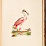 Captain Thomas Brown | Illustrations of the American ornithology. Edinburgh, [1831]-1835, the dedicatee’s large-paper copy with superior colour - Foto 7
