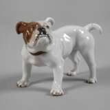 Meissen "Bulldogge" - photo 1