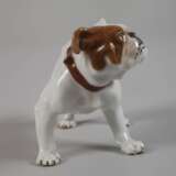 Meissen "Bulldogge" - photo 2