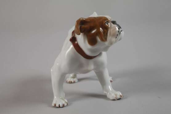 Meissen "Bulldogge" - photo 2