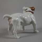 Meissen "Bulldogge" - photo 3