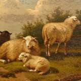 Dieghem, Joseph van (1843-1885) "Ruhende Schafe", Öl/Holz, Prunkrahmen (kleine Defekte), 23x16cm (m.R. 37x29cm), Defekte der Maloberfläche - фото 3