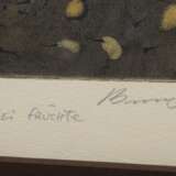 Brauer, Arik (1929-2021) „Ein Baum für vielerlei Früchte“, Farbradierung, 60/250, u. sign./betit./num., schmale Berliner Leiste, PM 34,3x23cm (m.R. 65x50cm), min. fleckig - фото 3