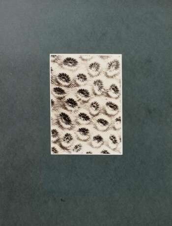 Koch, Fred (1904-1947) "Koralle", Fotografie auf Karton montiert, verso bez. und gestempelt, Nr. 3390, Freundeskreis Ernst Fuhrmann, Folkwang Verlag, 17,5x12,4cm (40x30cm), leichte Lagerungsspuren - photo 2