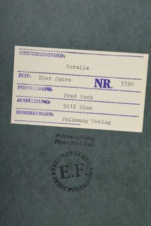 Koch, Fred (1904-1947) "Koralle", Fotografie auf Karton montiert, verso bez. und gestempelt, Nr. 3390, Freundeskreis Ernst Fuhrmann, Folkwang Verlag, 17,5x12,4cm (40x30cm), leichte Lagerungsspuren - photo 3