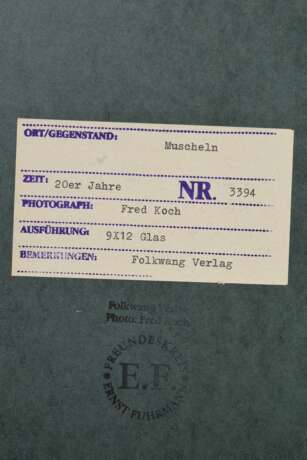 Koch, Fred (1904-1947) "Muscheln", Fotografie auf Karton montiert, verso bez. und gestempelt, Nr. 3394, Freundeskreis Ernst Fuhrmann, Folkwang Verlag, 17,5x12,4cm (40x30cm), leichte Lagerungsspuren - фото 3
