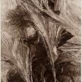 Koch, Fred (1904-1947) "Eisblumen am Fenster", Fotografie auf Karton montiert, verso bez. und gestempelt, Nr. 3404, Freundeskreis Ernst Fuhrmann, Folkwang Verlag, 17,5x12,4cm (40x30cm), leichte Lagerungsspuren - фото 1