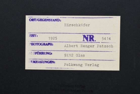 Renger-Patzsch, Albert (1897-1966) "Hirschkäfer", Fotografien auf Karton montiert, verso bez. und gestempelt, Nr. 5414, Folkwang Verlag, 17,8x12,4cm (35x25cm), leichte Lagerungsspuren - photo 3
