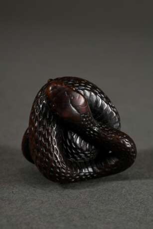 Buchsbaum Netsuke "Sich windende Schlange" mit in rot-braunem Horn eingelegten Augen, natürliches Himotoshi durch den Schwanz auf der Unterseite, 2,5x3,3cm, Provenienz: Norddeutsche Sammlung - Foto 5