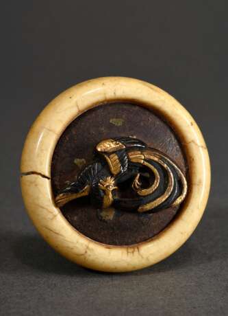 Elfenbein Kagamibuta Netsuke mit Shakudo Platte "Phönix", etw. def., Japan, Meiji Periode, um 1900 (Ø 4,5cm), Provenienz: Hans Adolf Ernst Eduard von Winterfeld (1862-1951), Hauptmann im 6. Ostasiatischen Infanterie-Regiment, erworben 190… - фото 1