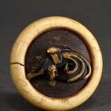 Elfenbein Kagamibuta Netsuke mit Shakudo Platte "Phönix", etw. def., Japan, Meiji Periode, um 1900 (Ø 4,5cm), Provenienz: Hans Adolf Ernst Eduard von Winterfeld (1862-1951), Hauptmann im 6. Ostasiatischen Infanterie-Regiment, erworben 190… - Foto 1