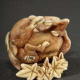 Elfenbein Netsuke "Röhrender Hirsch mit Hindin auf Ahornlaub" mit fein graviertem und partiell eingefärbtem Fell, in Kartusche sign. 蘭一 Ran'ichi, Japan 19.Jh., H. 3,3cm, eingelegte Horn Augen, 1 fehlt, 1 Blatt defekt, berieben, Genehm… - photo 5