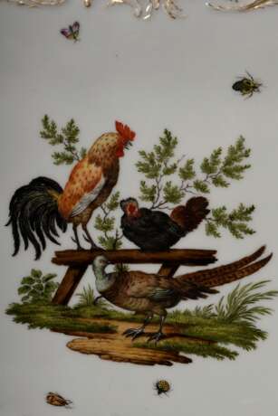 Eckige Meissen Schale mit polychromer Malerei „Federvieh und Insekten“ auf vergoldetem Rocaille Relief, 18./19.Jh., Modellnr.: No 3, Bossiernr.: 13, 25x25cm, berieben, herstellungsbedingte Glasurdefekte - фото 4