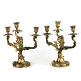 Paire de candelabres rocaille en bronze dore. Gilded bronze Rococo 30 - Foto 3