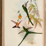 John Gould | A monograph of the trochilidae, or… humming-birds [with supplement]. London, 1849–1887, 6 volumes - photo 1