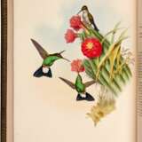 John Gould | A monograph of the trochilidae, or… humming-birds [with supplement]. London, 1849–1887, 6 volumes - Foto 2