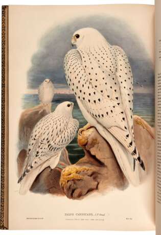 John Gould | The birds of Great Britain. London, 1862 1873, 5 volumes, one of the greatest works of British ornithology - photo 1