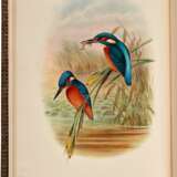 John Gould | The birds of Great Britain. London, 1862 1873, 5 volumes, one of the greatest works of British ornithology - photo 3