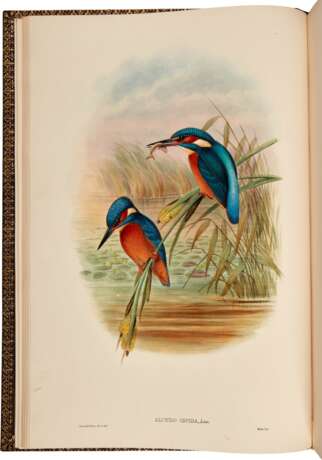 John Gould | The birds of Great Britain. London, 1862 1873, 5 volumes, one of the greatest works of British ornithology - photo 3