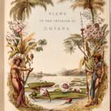 Sir Robert Herman Schomburgk | Twelve views in the interior of Guiana. London, 1841, beautiful hand-coloured lithographs of Guyana - Foto 1