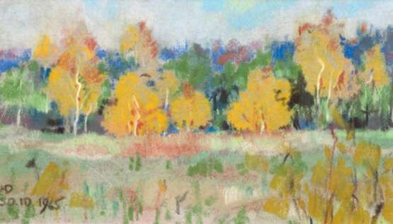 Dolberg, Helene (1881 Barkow-1979 Hildesheim) "Herbstlandschaft", Pastell, monogr. u.l. und dat. 30.10.1965, 13x23 cm, im Passepartout hinter Glas und Rahmen (seit 1925 Teilnahme an Ausstellungen in Leipzig, Rostock und Schwerin, 2007 Gedä… - фото 1