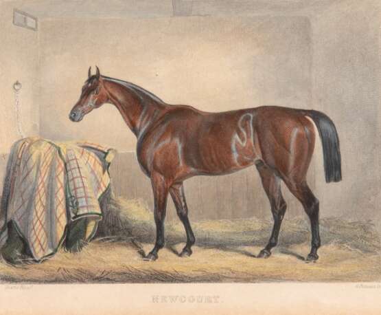 Paterson, G. "Pferd im Stall", kolorierter Stich, 12x15 cm, im Passepartout hinter Glas und Rahmen - Foto 1