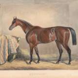 Paterson, G. "Pferd im Stall", kolorierter Stich, 12x15 cm, im Passepartout hinter Glas und Rahmen - фото 1