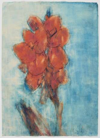 Christian Rohlfs. Rote Blüte auf blauem Grund (Canna Indica) - photo 2