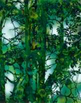 Stefan Sehler. Untitled