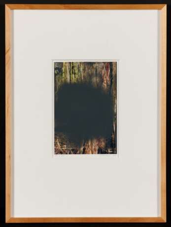 Gerhard Richter. Wald 74/80). From: Wald II - Foto 2