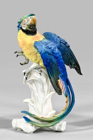 Papagei - photo 1