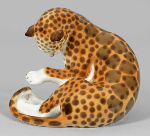 Sitzender, junger Leopard - photo 1