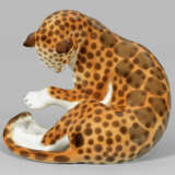 Sitzender, junger Leopard - photo 1